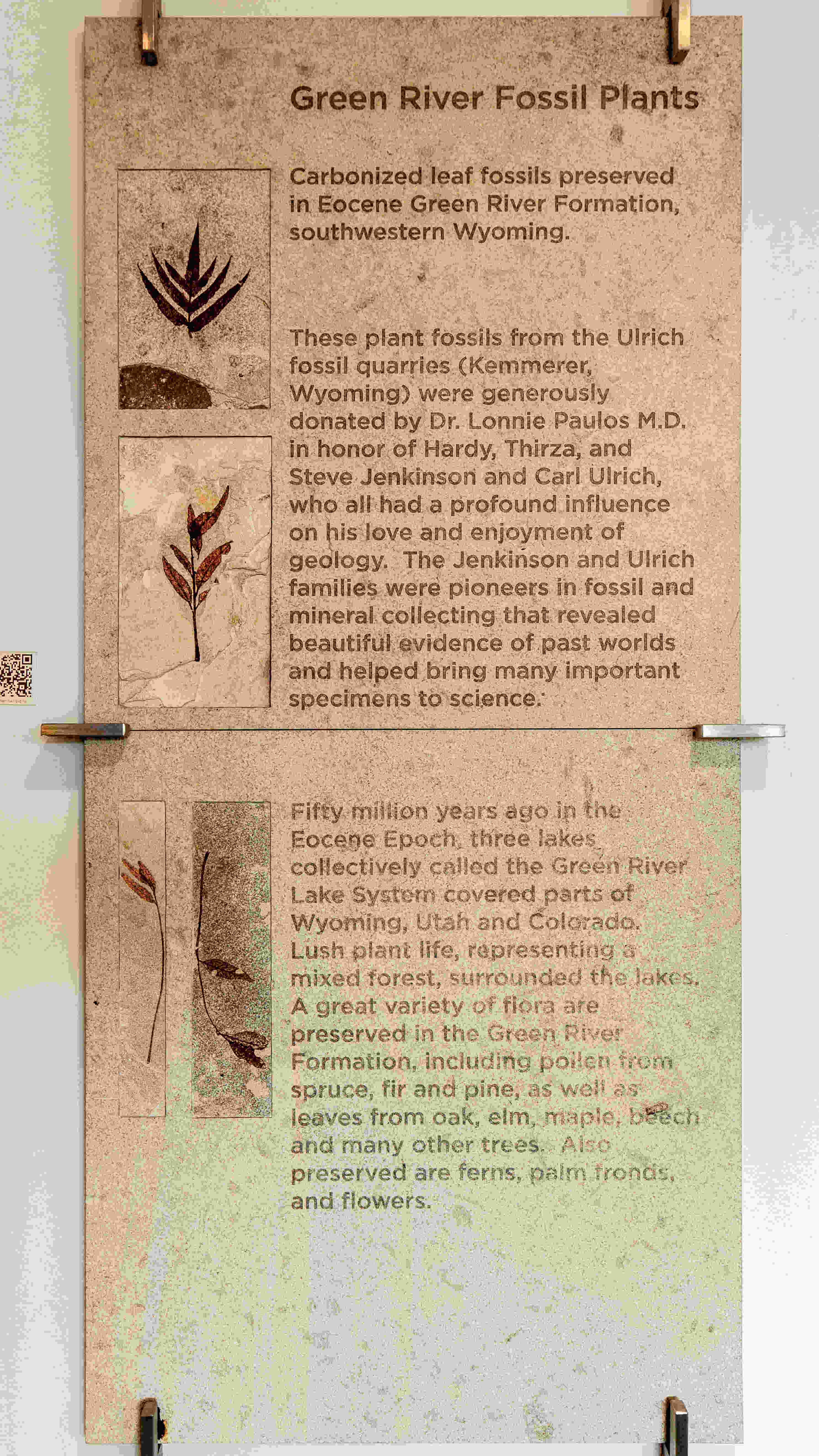 Plant Wall Description